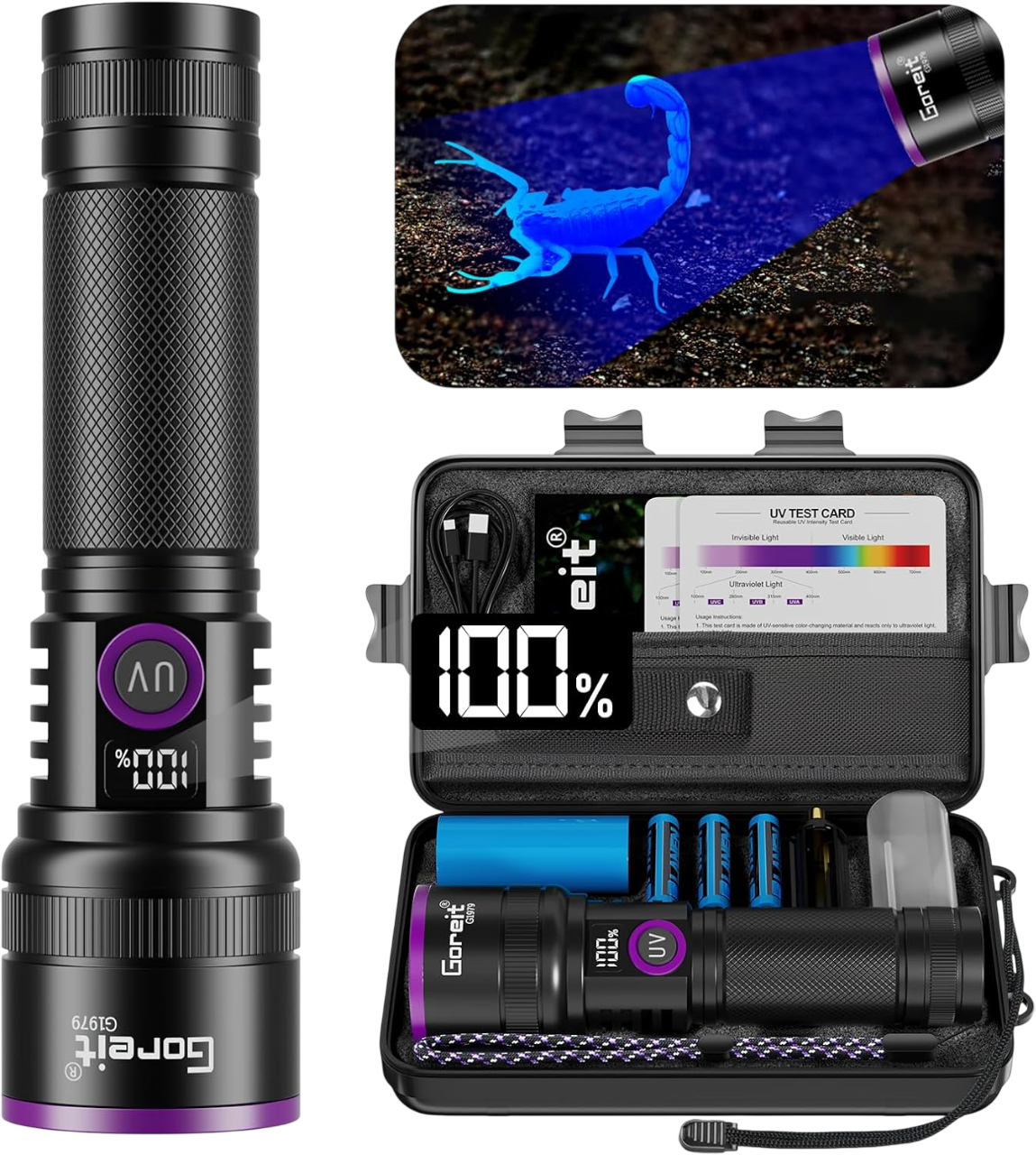 Goreit 365nm Black Light with Filter Lens - 30w Strong UV Light Flashlight Rechargeable with LCD Display Ultraviolet Blacklight for Pet Urine Detection/Resin Curing/Rocks/Scorpion/Blood Tracking